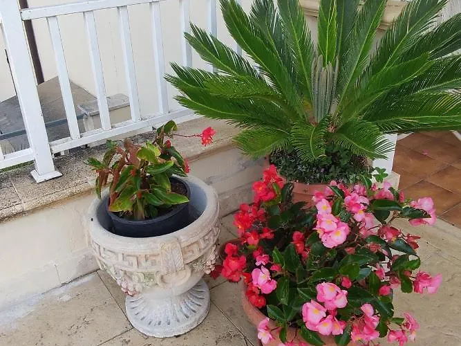 B&B Joy Colleferro