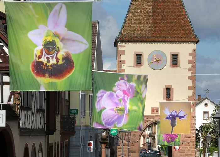 TIPTOP Hotel Garni Pfauen Endingen am Kaiserstuhl
