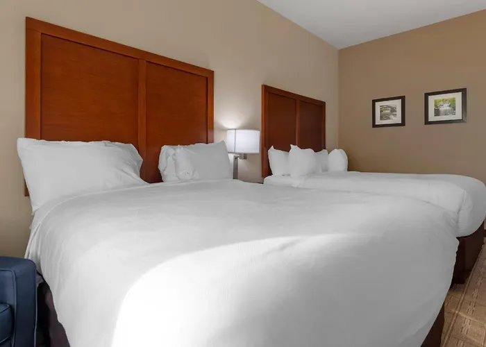 Comfort Inn & Suites North Mankato