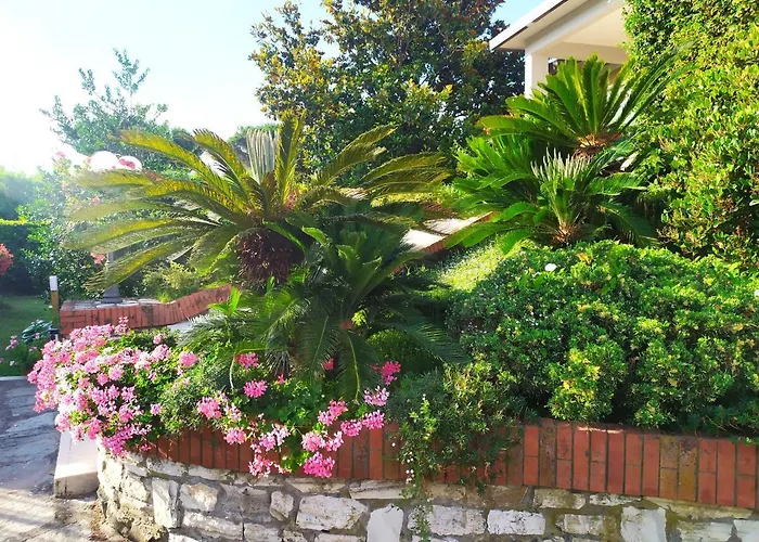 B&B Tra Mare e Marmo Marina Di Carrara