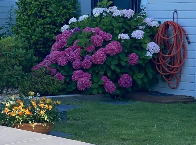 Les Evens La Baule Bed & Breakfast