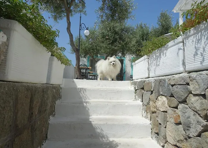 Il Capriccio Guesthouse Ponza
