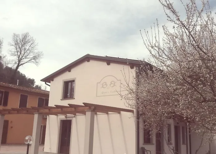 B&B Pane e Rose