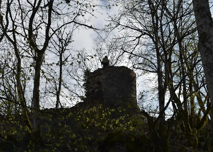 Hotel Le Meleze Moirans-en-Montagne