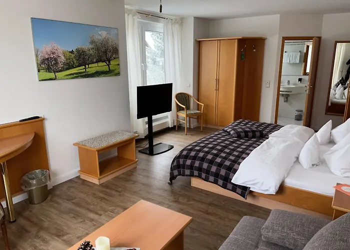 Hotel Engelberg 24h check in Wangen im Allgäu