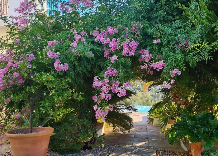Bed and Breakfast Cortijo La Haza Iznájar