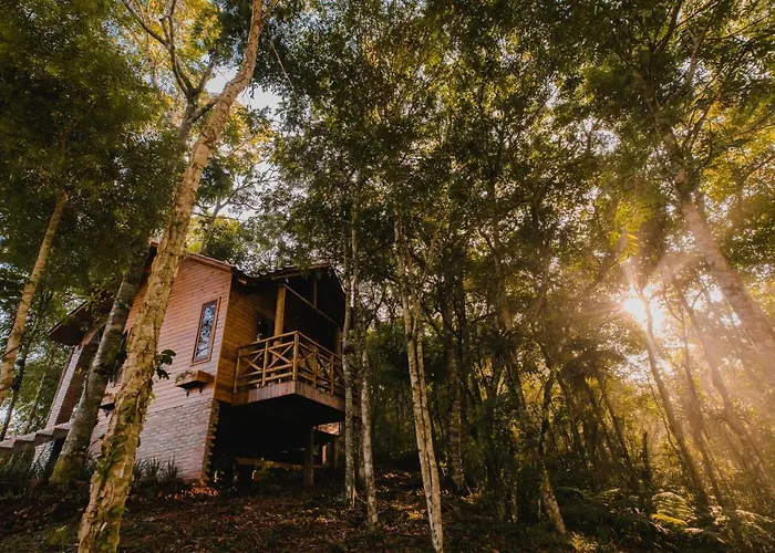Hotéis de Nova Veneza (Santa Catarina)