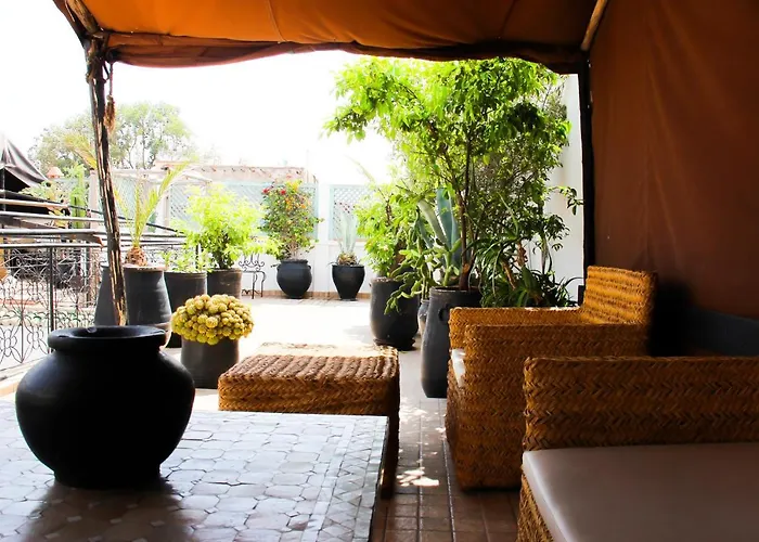 Riad Al Tainam