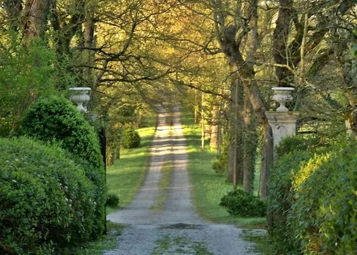 Domaine de la Vivarié Castres 