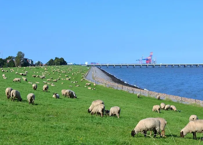gisunt Pension Wilhelmshaven