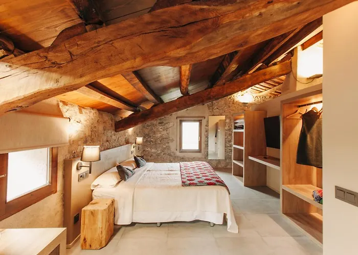 Hotel Boutique El Mariner Camprodon