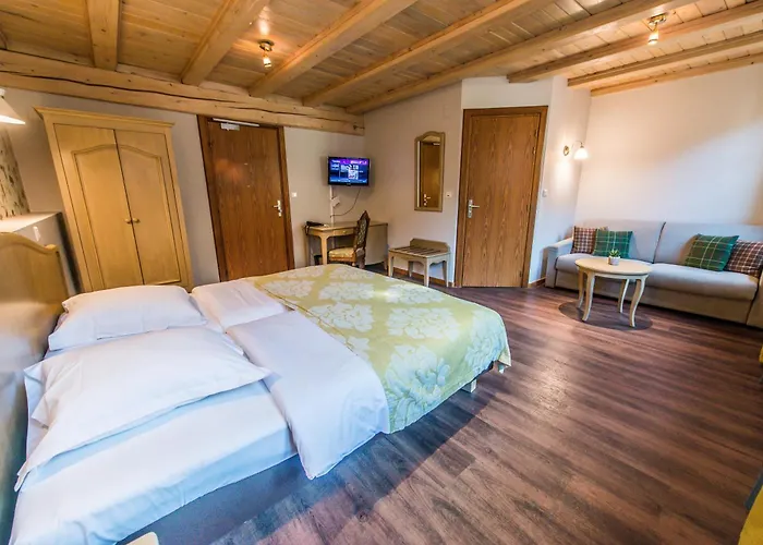 Hotel Au Lion Ribeauvillé