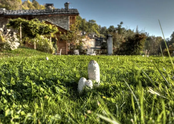 Maison Perriere - Chambres D'Hotes & Jacuzzi Ferriere