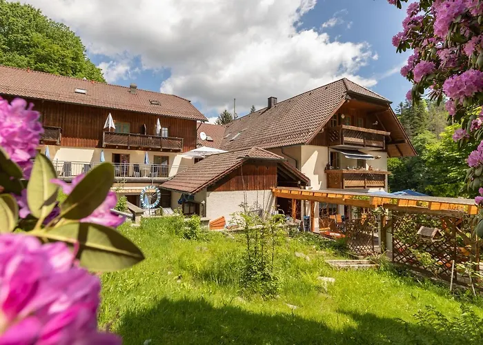 Hotel Zur Triftsperre Passau