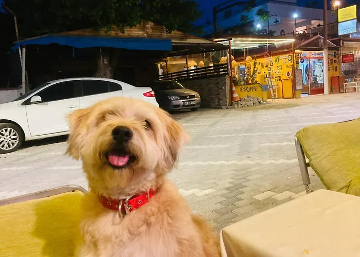 Hotel Doenmez Dalyan