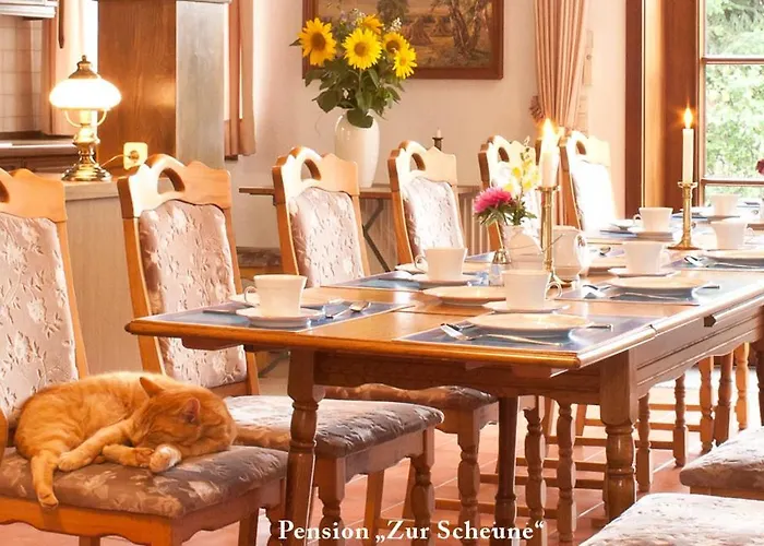 Pension zur Scheune Plau am See