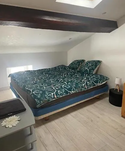 Aparthotel Saint-Chamond