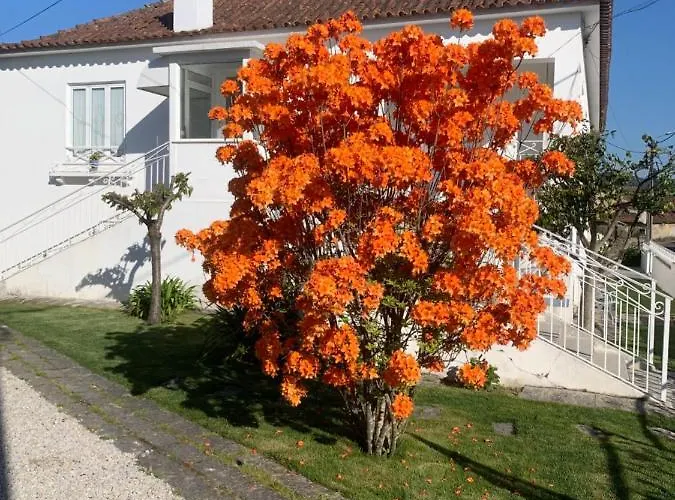 Casa Das Uveiras Pacos de Ferreira