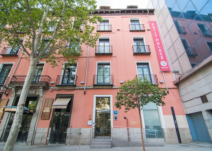 Petit Palace Plaza Del Carmen Madri