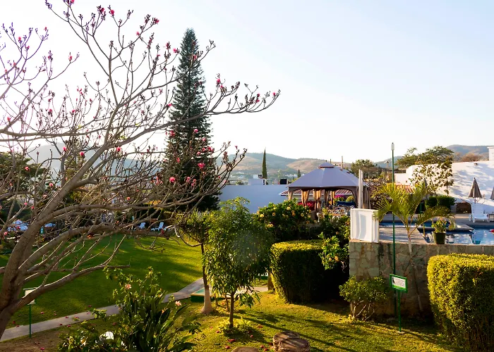 Mision Oaxaca