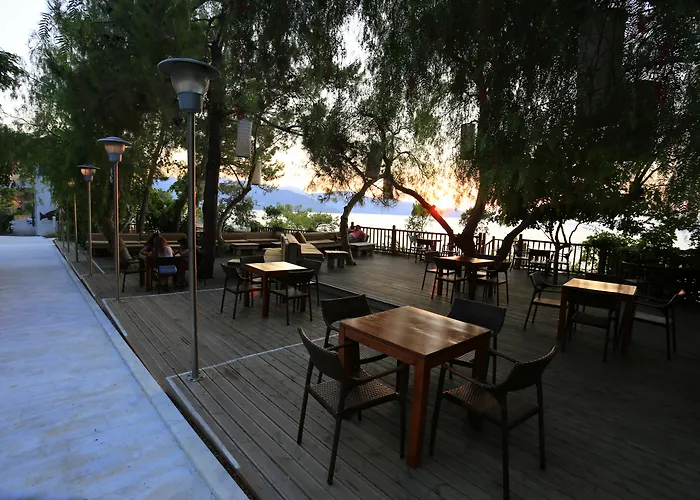 Hotels in Torba