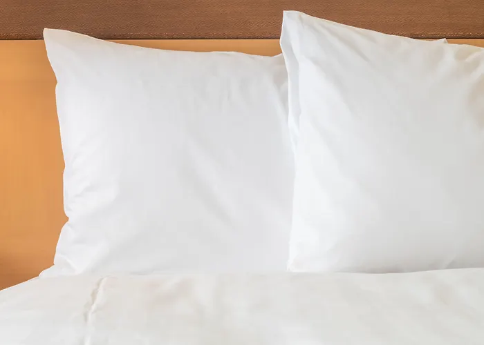 Holiday Inn San Marcos Convention Center By Ihg
