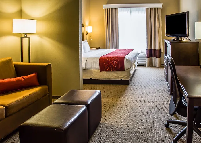 Comfort Suites Sarasota-Siesta Key Vamo
