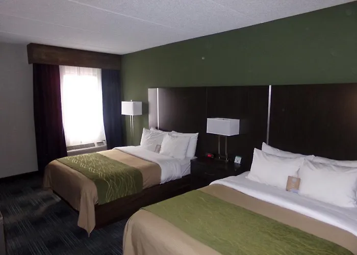 Comfort Inn Cleveland Airport Middleburg Heights
