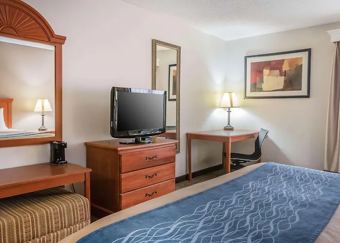 Comfort Inn Downtown - University Area Kalamazoo