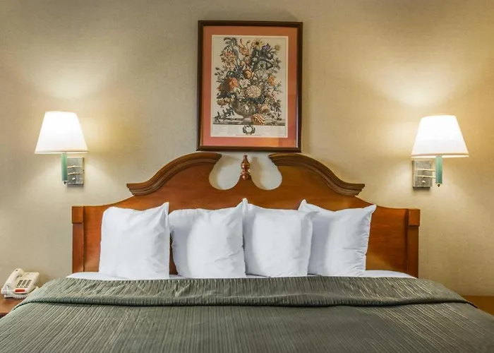 Quality Inn Reidsville Hwy 29