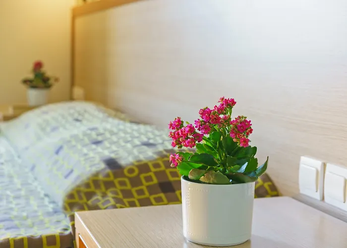 Alianthos Beach Hotel Plakias