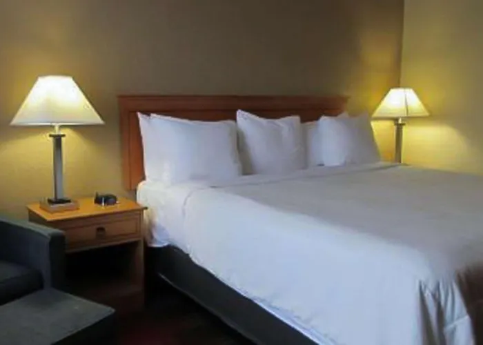Quality Inn & Suites Airport