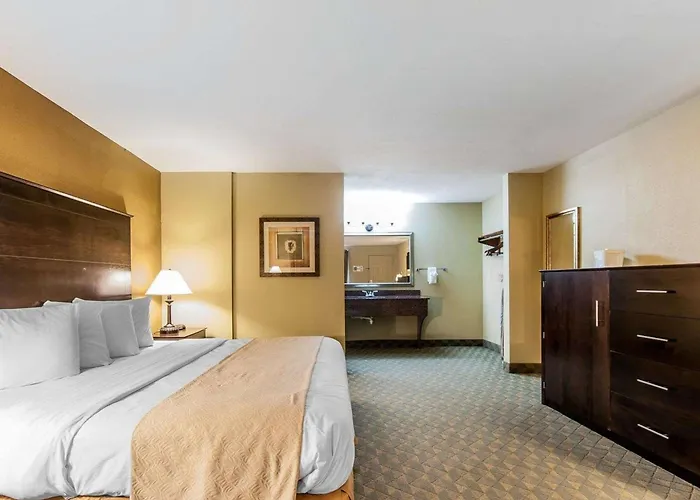 Quality Inn & Suites