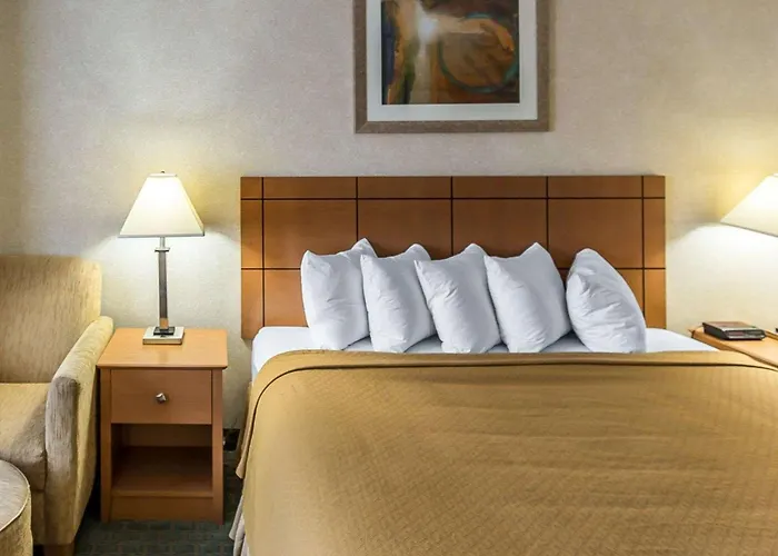 Quality Inn At Collins Road - Cedar Rapids