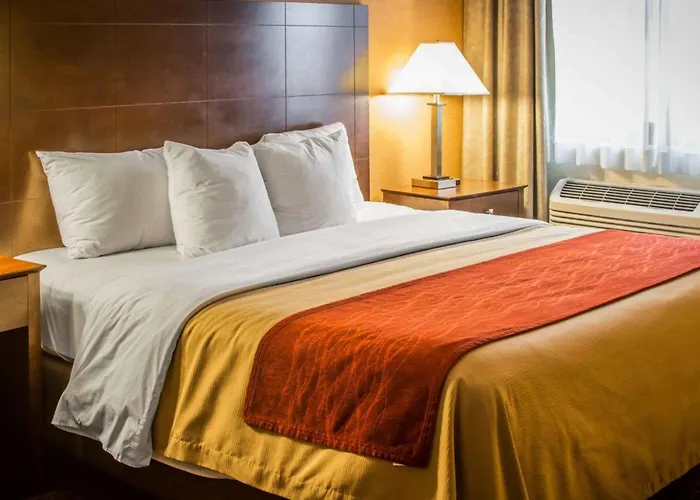 Quality Inn & Suites Port Huron