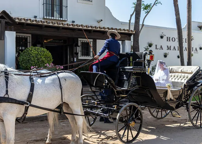 Hotel La Malvasía El Rocío