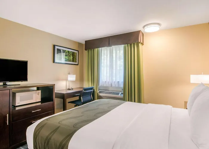 Quality Inn & Suites Albany Corvallis