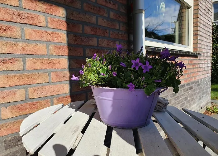 Casa Lely Bed and Breakfast Lelystad