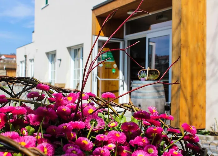 Hotel Wirtshaus Leindl Krems an der Donau