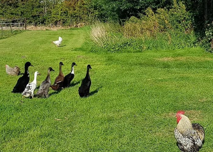 Hoeve Ruimzicht Renesse