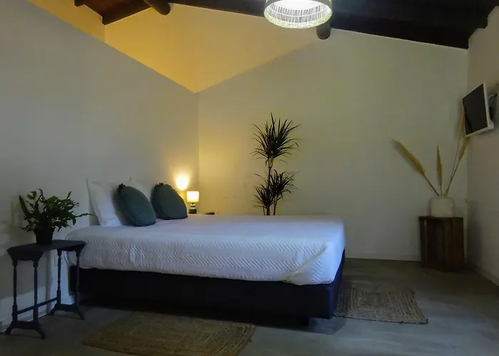 Quinta Da Galeana Dreaming