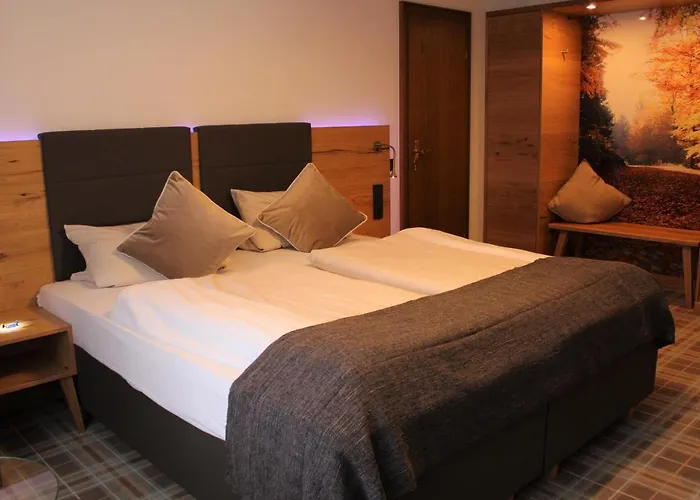 Hotel Hollaender Hof Meschede