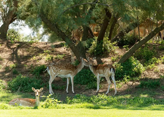 La Foresteria Del Golf Albarella Island