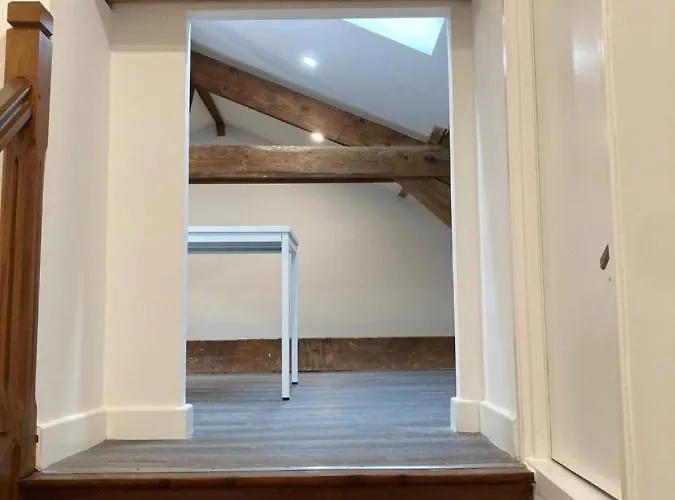 Coliving Agen centre ville quartier calme