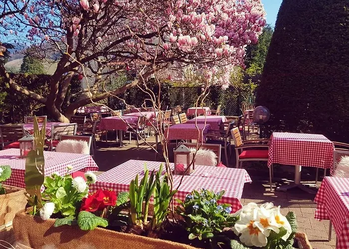 Hotel Restaurant Aux Sapins Thann