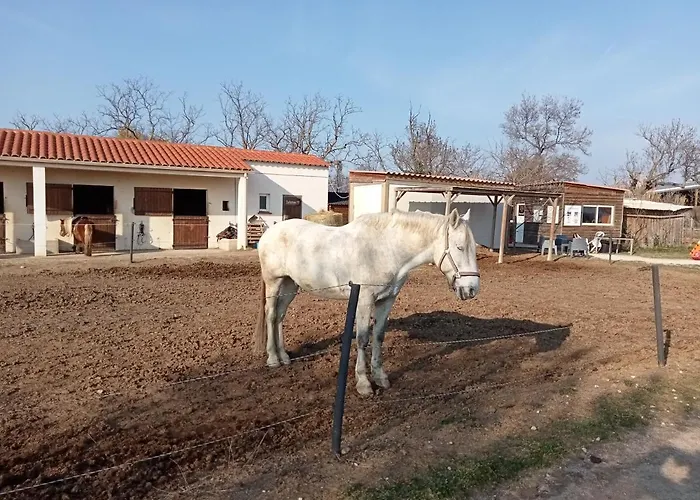 Bed and Breakfast Mas Palegry côté terrasse à Perpignan
