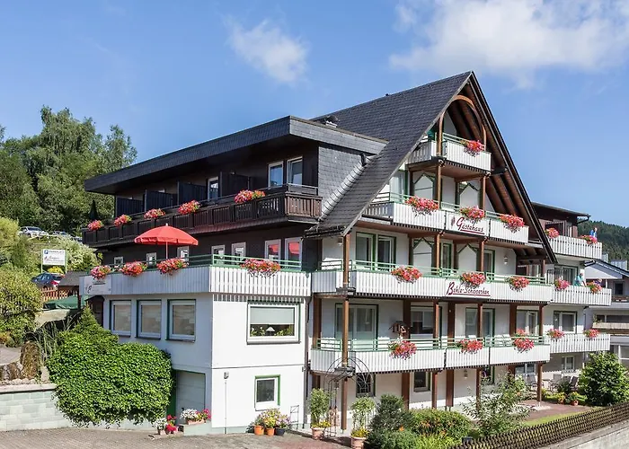 Gaestehaus Behle-Schaeperken Willingen 