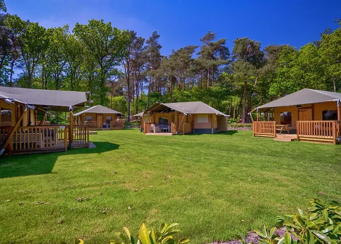 Landgoed 't Wildryck Hotel Diever