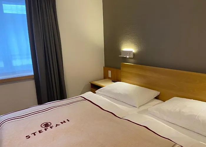 Petit Steffani Bed & Breakfast Sankt Moritz