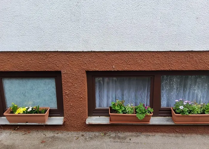 Brodovskiy- Apartment Neckarsulm